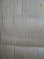 S8004333.JPG