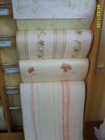 S8004337.JPG