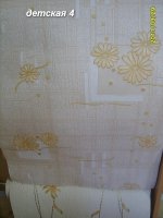 S8004343.JPG
