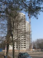 IMG_5355.JPG