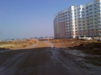 IMG_20110403_122947.jpg