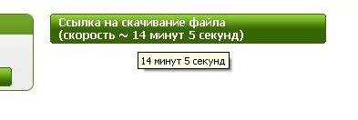 p5.JPG