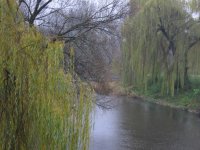 Изображение 423.jpg