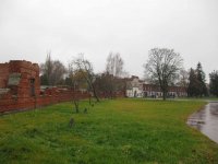 Изображение 435.jpg