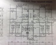 солнечная.jpg