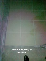 15042011184.jpg