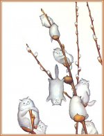 82716--43206009-m750x740-uca551.jpg