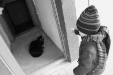 IMG_0912q.jpg
