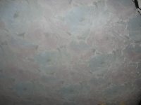 IMG_7972.JPG