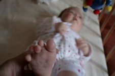 IMG_9066_изменение размера.JPG