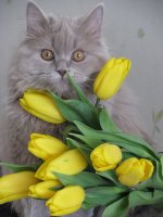 Изображение 115_новый размер.jpg
