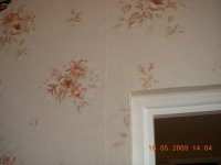 DSCN2036.JPG