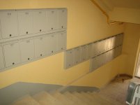 IMG_2411.jpg