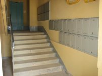 IMG_2412.jpg