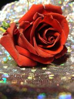 7633fbe35cf41dfb6e52b0cbd7cdce7b.jpg