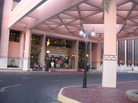 IMG_1291.jpg