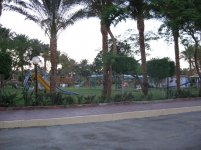 IMG_1237.jpg
