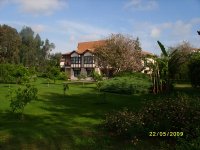 территория и бунгало.jpg