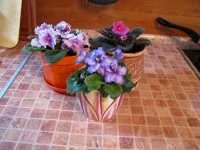 Resize of IMG_1896.JPG