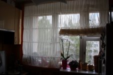 IMG_5500_новый размер.JPG