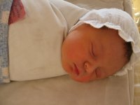 IMG_08210.jpg