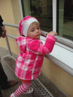 DSC03917.gif