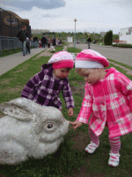 DSC03929.gif