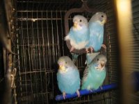 Изображение 1098.jpg