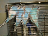 Изображение 1119.jpg