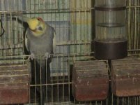 Изображение 1130.jpg