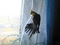 Изображение 1128.jpg