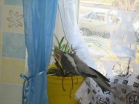 Изображение 1133.jpg