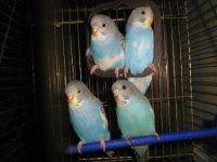 Изображение 1099.jpg