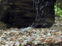 Изображение 014.jpg