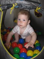 Тимоха в палатке.jpg