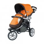 pTRUCA1-9923066dt.jpg