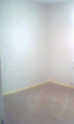 IMG0096A.jpg