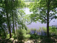 PIC_1359_1_1.jpg