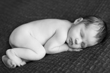 IMG_4240 copy.jpg