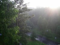 PIC_1456_1.jpg