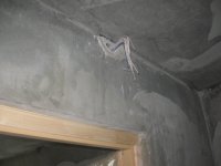 IMG_6366.jpg