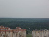 IMG_6382.jpg