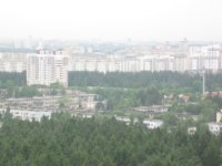 IMG_6383.jpg