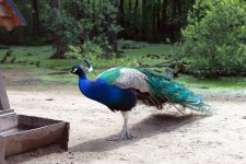 4.JPG