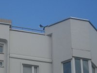 IMG_2338.jpg IMG_2338.jpg