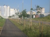 IMG_2317.jpg IMG_2317.jpg