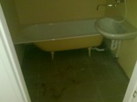 27062011099.jpg