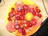 IMG_5885.JPG