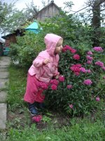 DSC06246.JPG