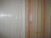 IMG_3880.jpg